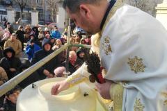 IMG_20260119_104950_Signed